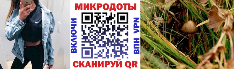 что такое маркетплейс официальный сайт ссылка на мегу зеркало Псилоцибиновые грибы MAGIC MUSHROOMS Нариманов